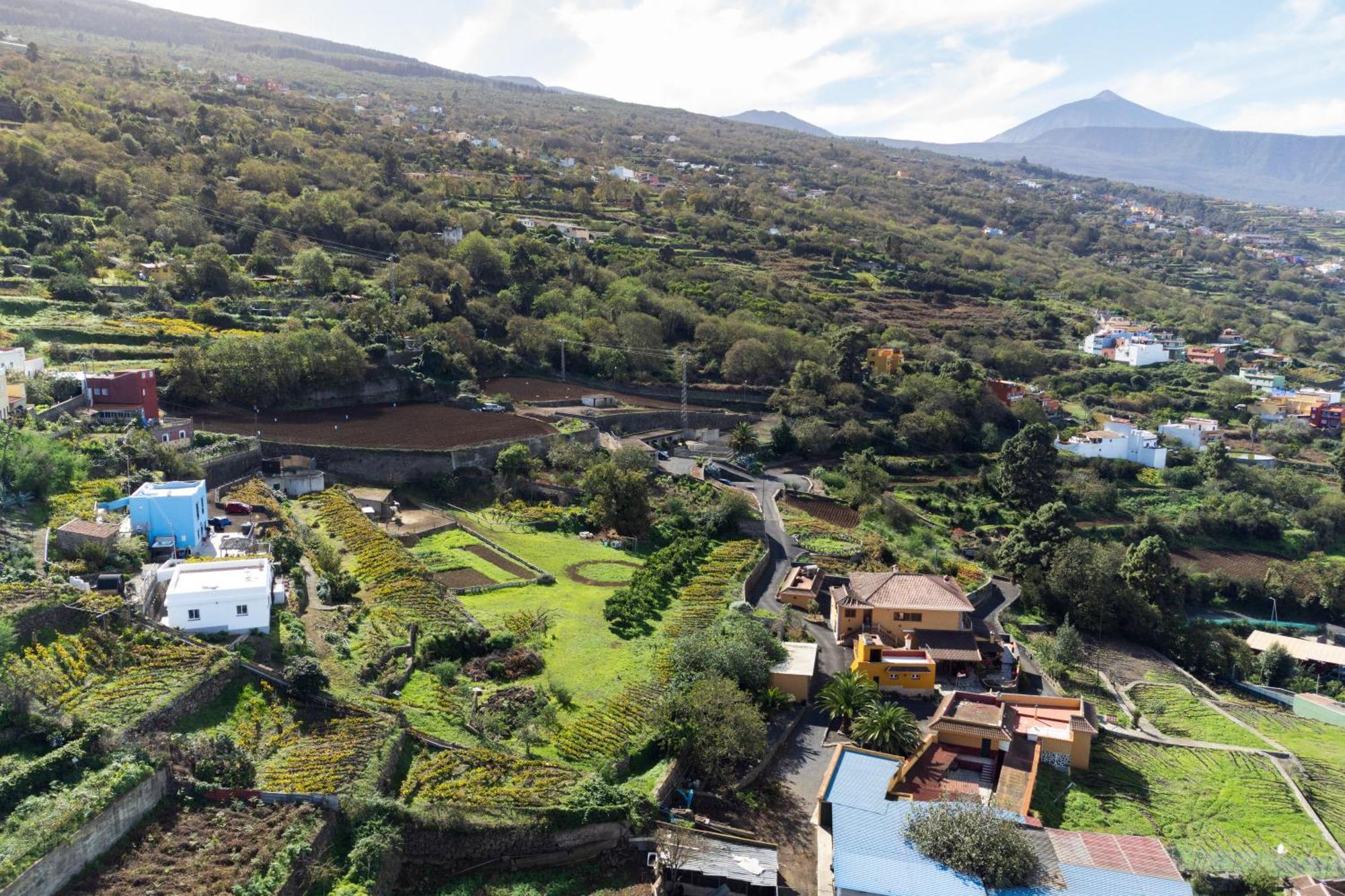 Ek Teide Finca El Milagro La Orotava Kültér fotó