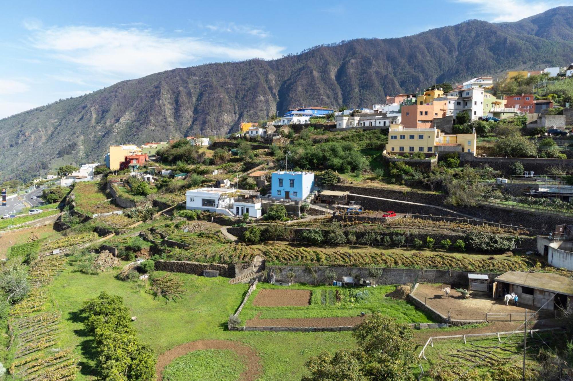 Ek Teide Finca El Milagro La Orotava Kültér fotó