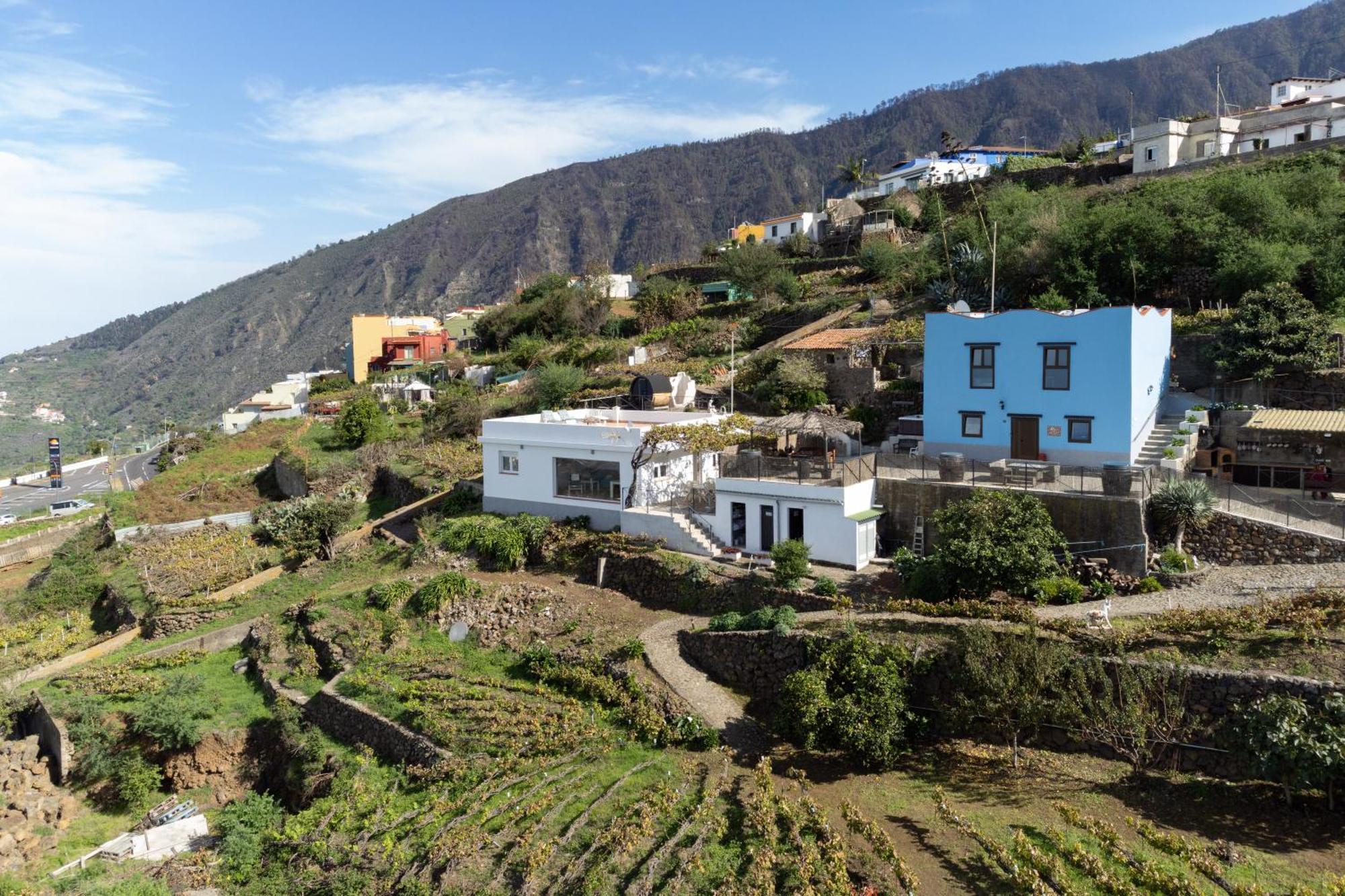 Ek Teide Finca El Milagro La Orotava Kültér fotó