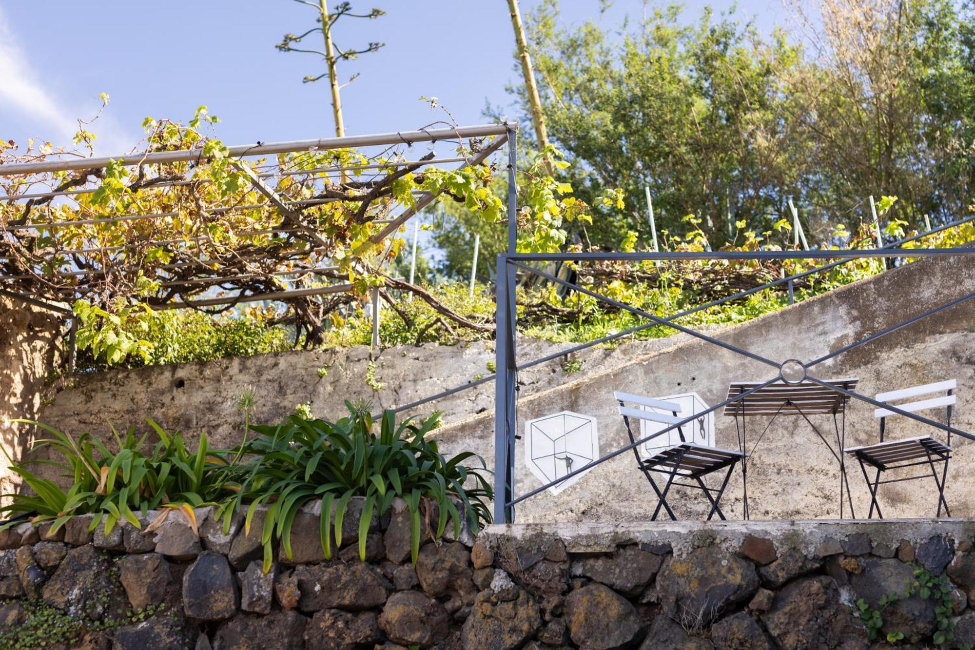 Ek Teide Finca El Milagro La Orotava Kültér fotó