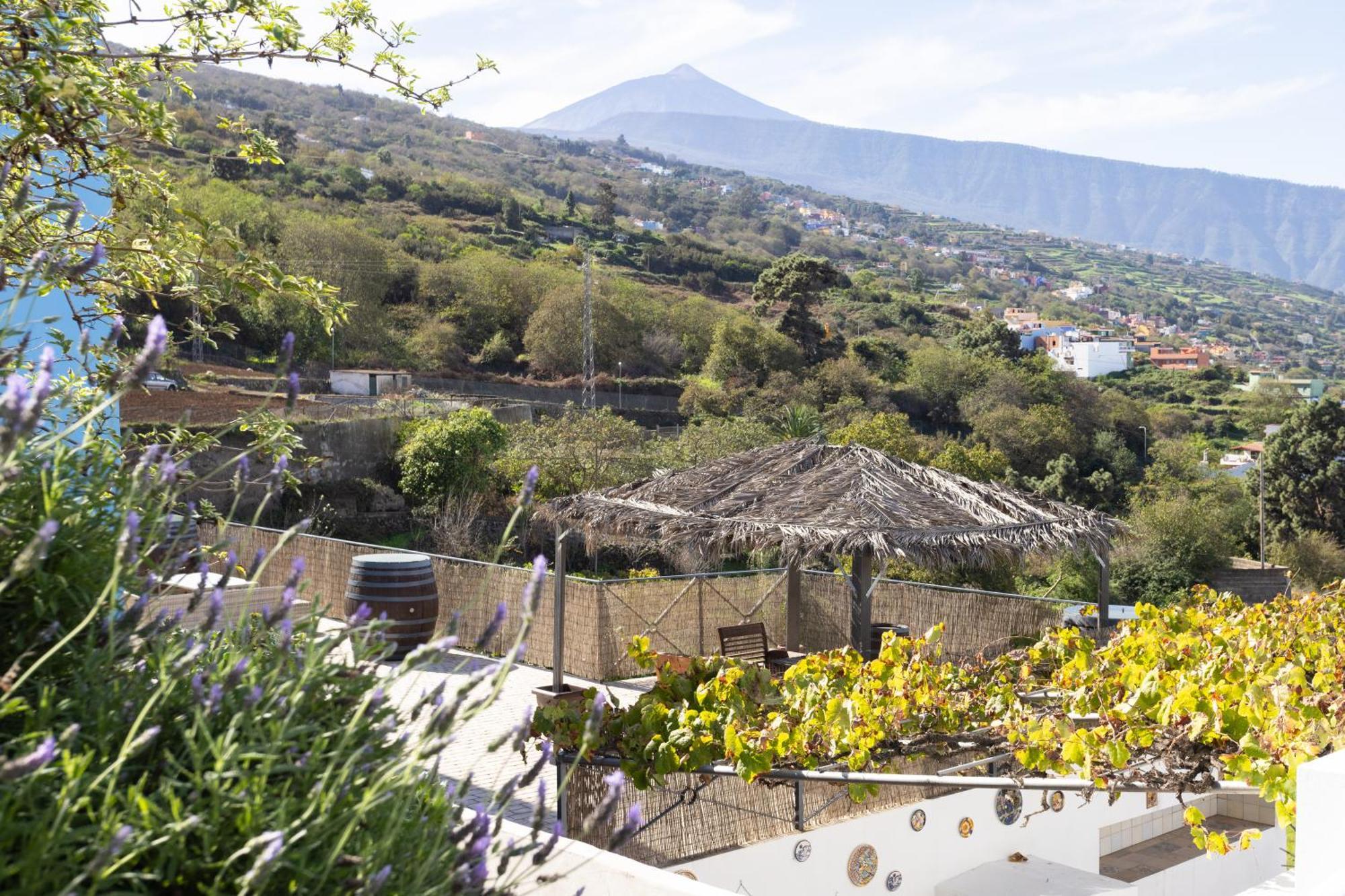 Ek Teide Finca El Milagro La Orotava Kültér fotó