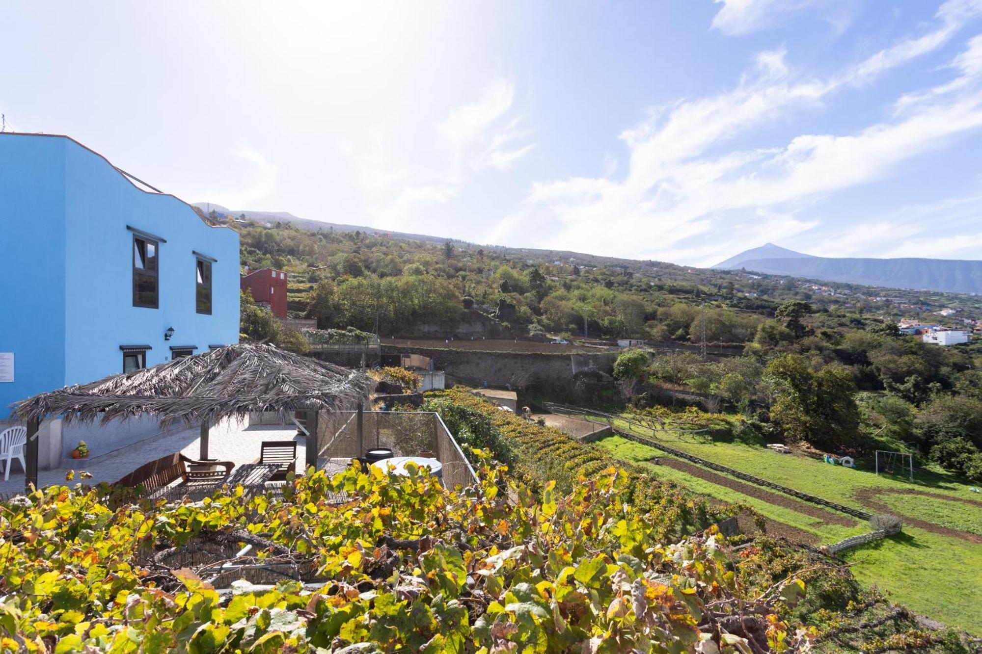 Ek Teide Finca El Milagro La Orotava Kültér fotó